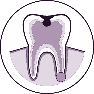 root canal model icon